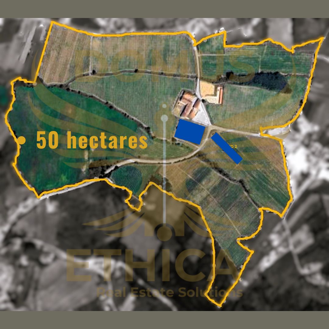 Historical Property with Unique Potential – 13th Century | Central-West Region – Leiria